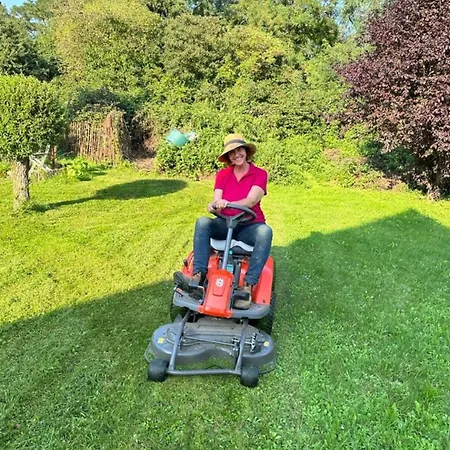 Kemenate Gechaichnishof 7born * 马林诺维德