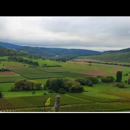 民宿 Kemenate Gechaichnishof 7born 马林诺维德