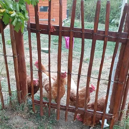 Kemenate Gechaichnishof 7born *