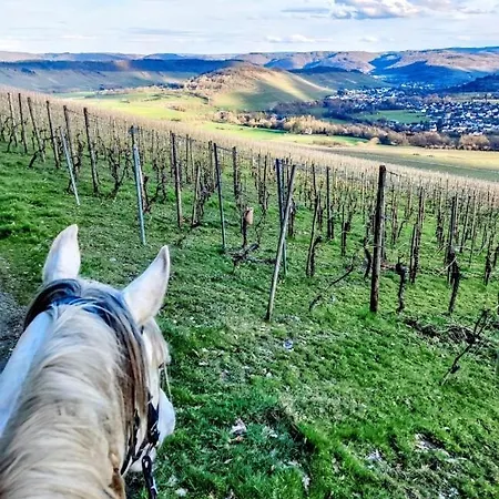 Kemenate Gechaichnishof 7born