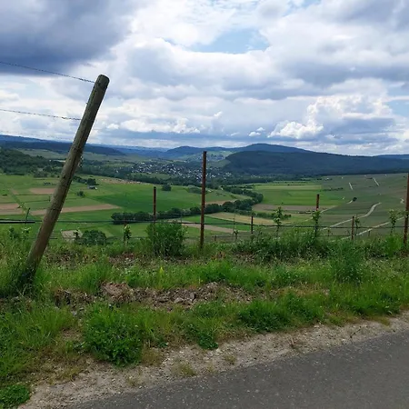 民宿 Kemenate Gechaichnishof 7born