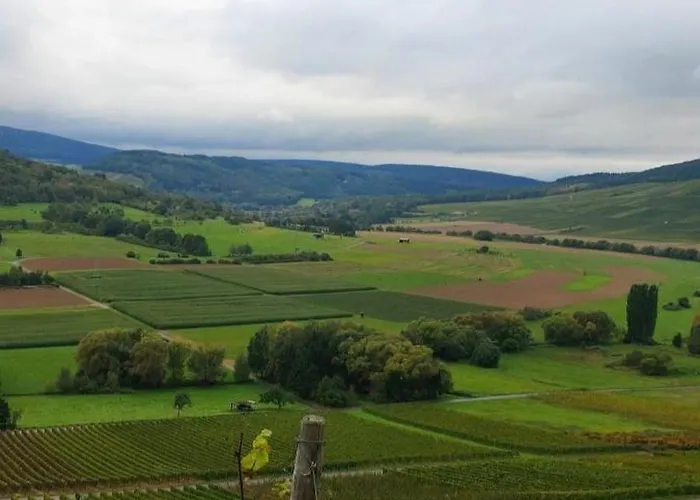 בית אירוח Kemenate Gechaichnishof 7born Maring-Noviand