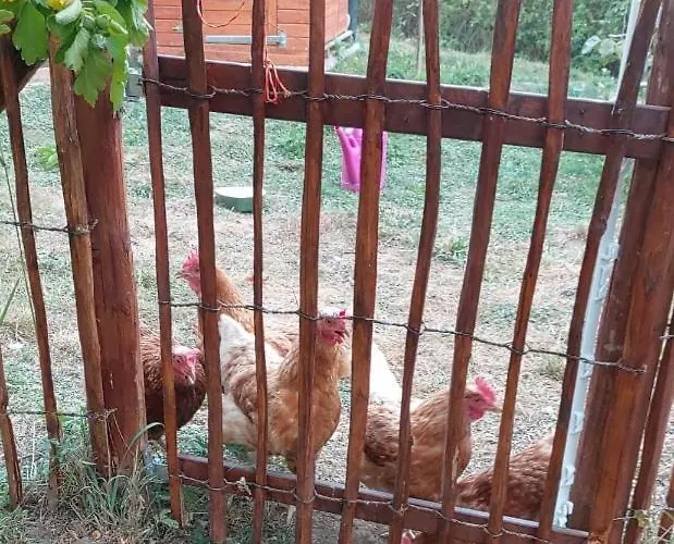 Kemenate Gechaichnishof 7born *