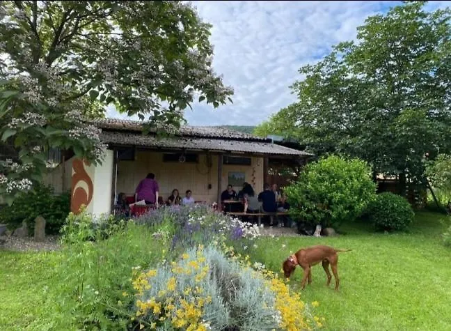 בית אירוח Kemenate Gechaichnishof 7born Maring-Noviand