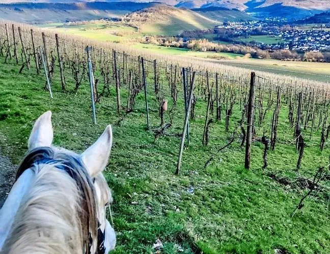 Kemenate Gechaichnishof 7born